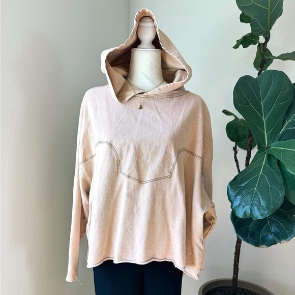 Zara Hoodie Sweater - Picture 1 of 8